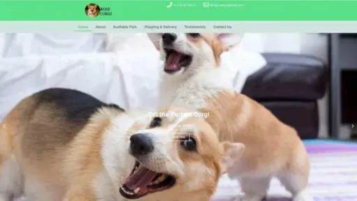 Screenshot of