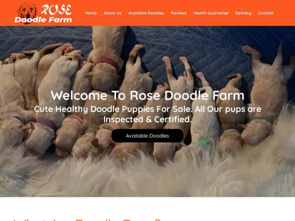 Screenshot of