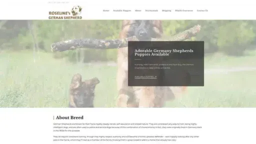 Screenshot of