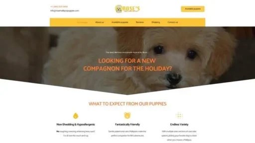 Screenshot of