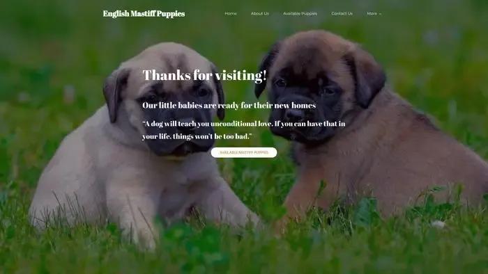 Screenshot of