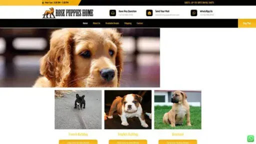 Screenshot of