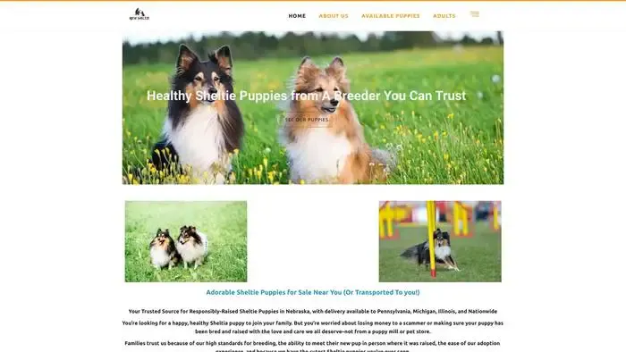 Screenshot of