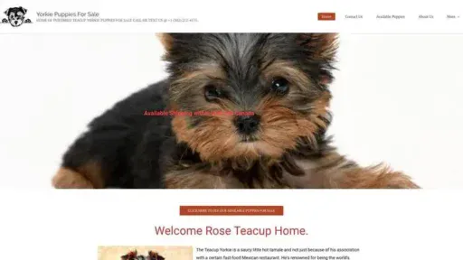 Screenshot of