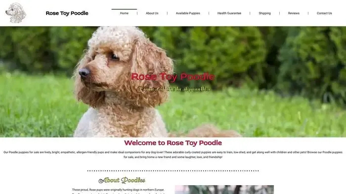 Screenshot of