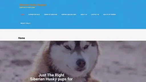 Screenshot of