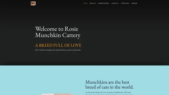 Screenshot of