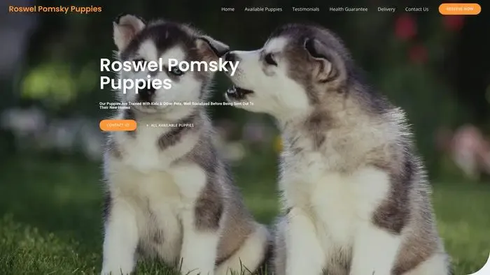 Screenshot of
