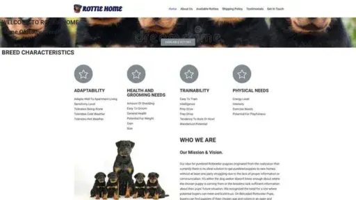 Screenshot of