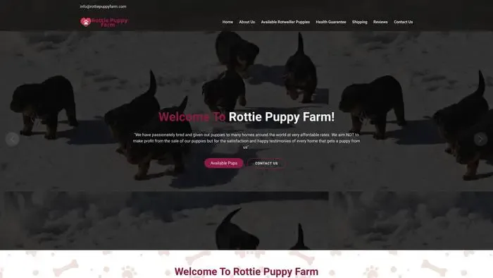 Screenshot of
