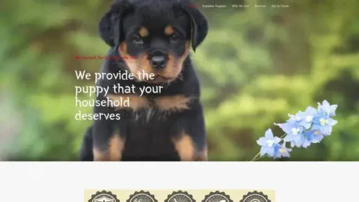 Screenshot of