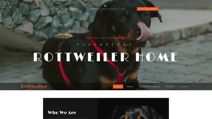 Screenshot of