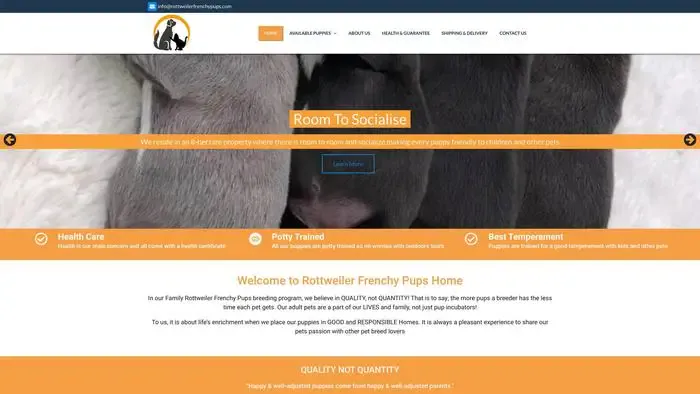 Screenshot of