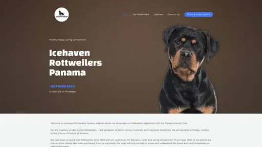 Screenshot of