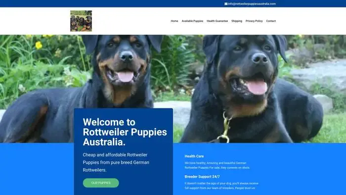Screenshot of