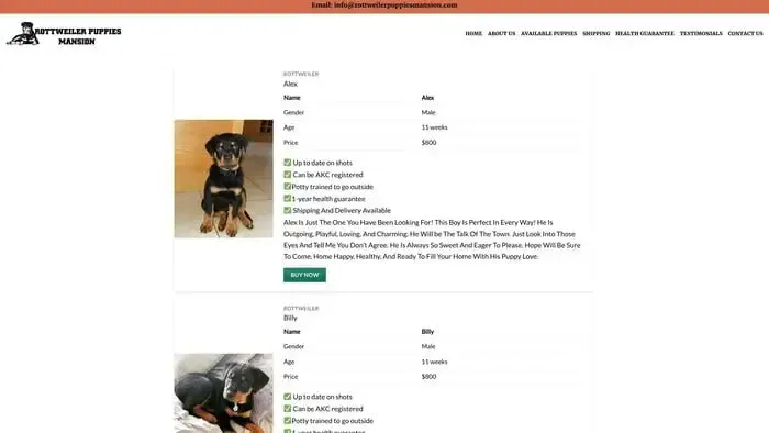 Screenshot of