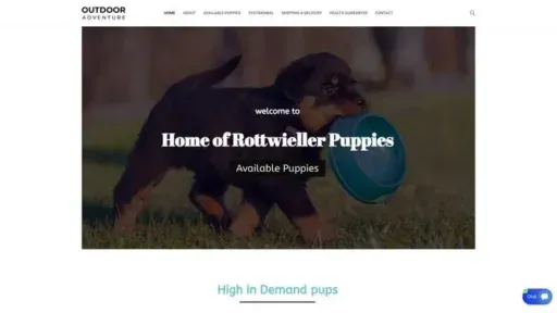 Screenshot of