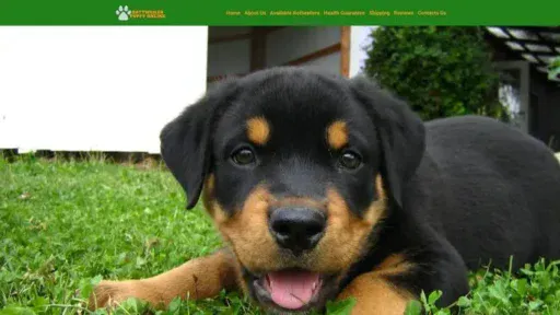 Screenshot of