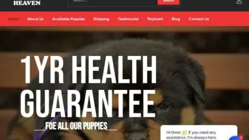 Screenshot of