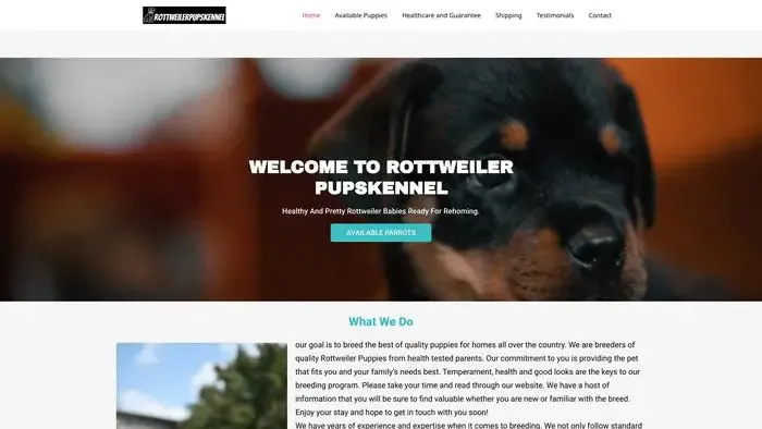 Screenshot of