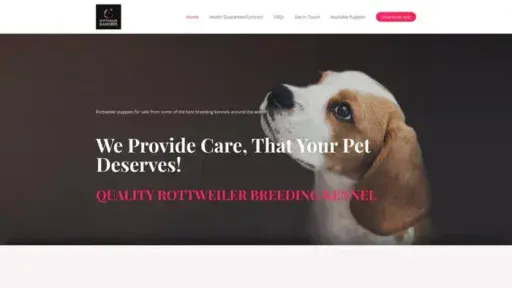 Screenshot of