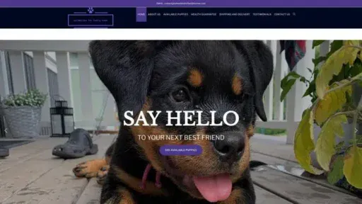 Screenshot of