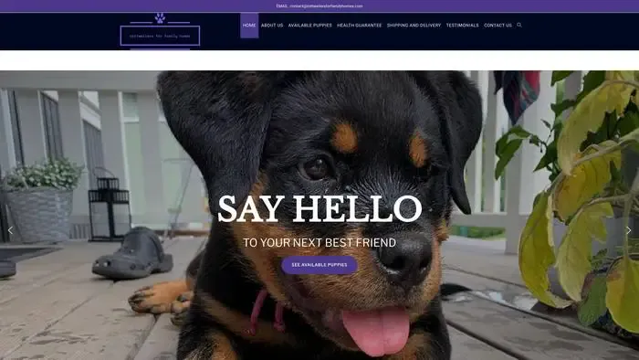Screenshot of