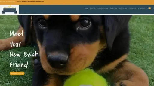 Screenshot of