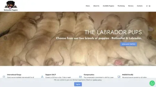 Screenshot of