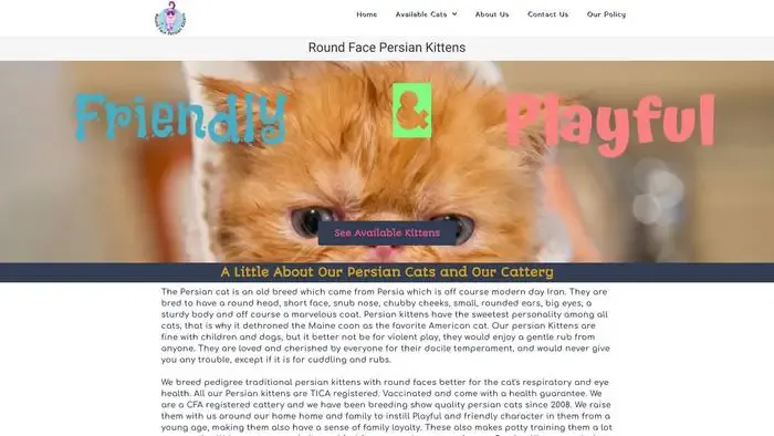 Screenshot of