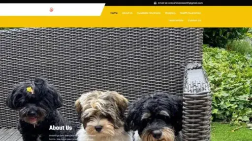 Screenshot of