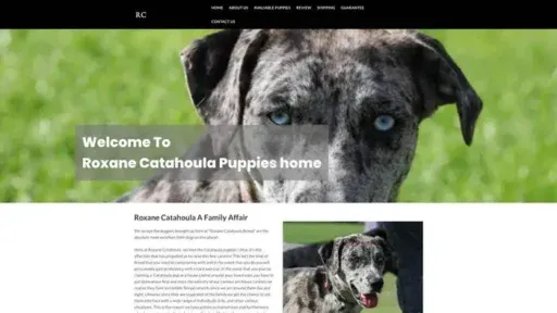 Screenshot of