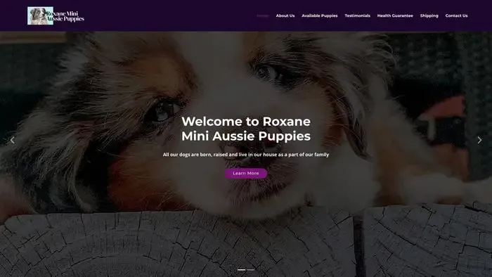 Screenshot of
