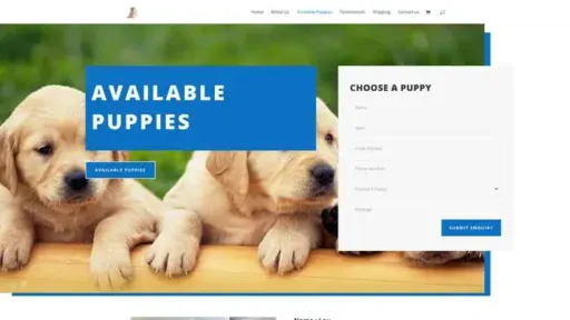 Screenshot of
