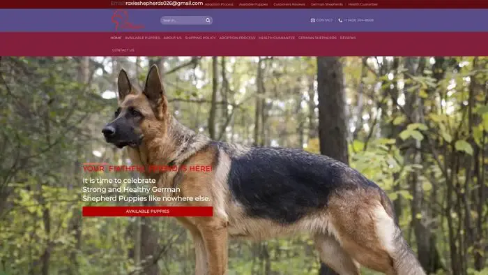 Screenshot of