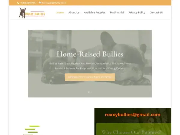 Screenshot of