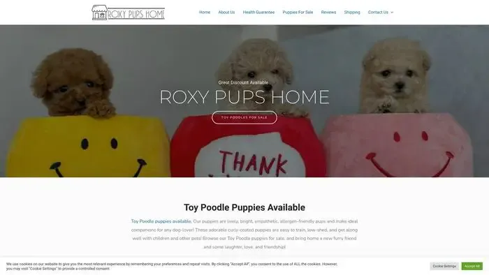 Screenshot of