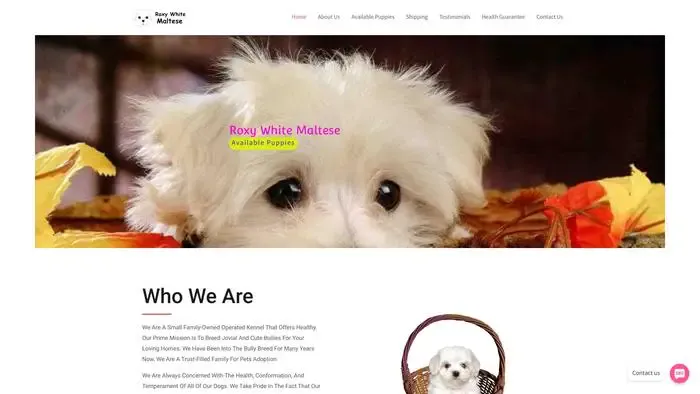 Screenshot of