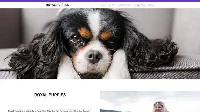 Screenshot of