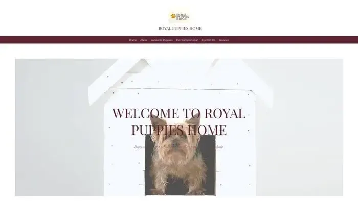 Screenshot of