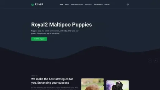 Screenshot of