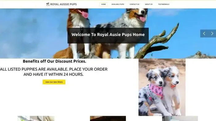 Screenshot of