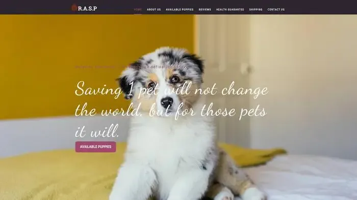 Screenshot of