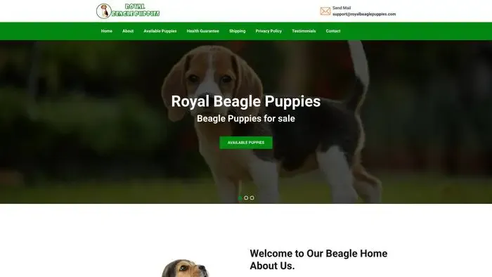 Screenshot of
