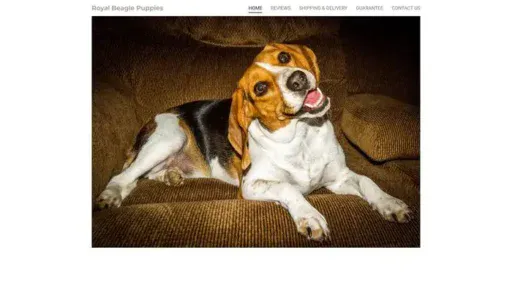 Screenshot of