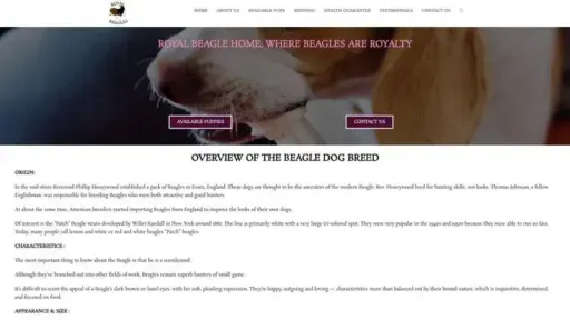 Screenshot of