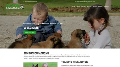 Screenshot of