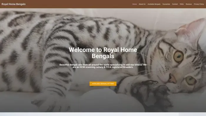 Screenshot of