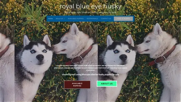 Screenshot of