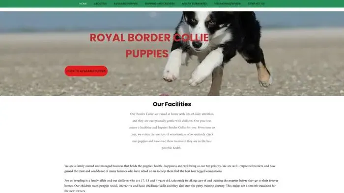 Screenshot of